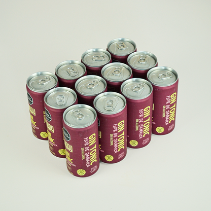 Party Pack x8 - x12 - x24