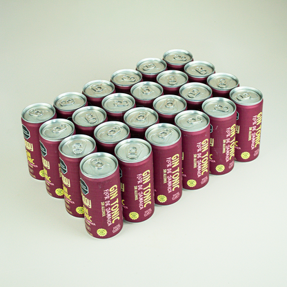 Party Pack x8 - x12 - x24